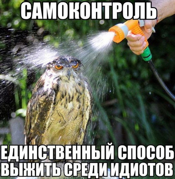 Гермес Гермес