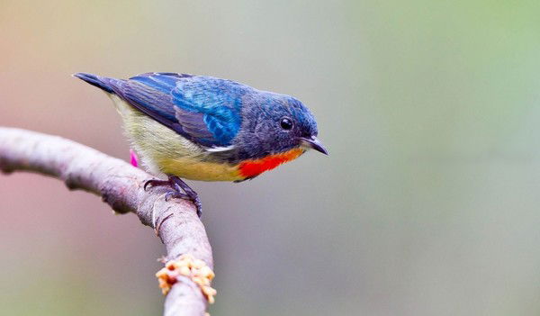 Наталья Ххххххххх