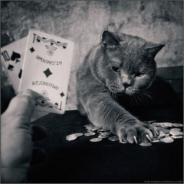 Денис Поляков (Liss)