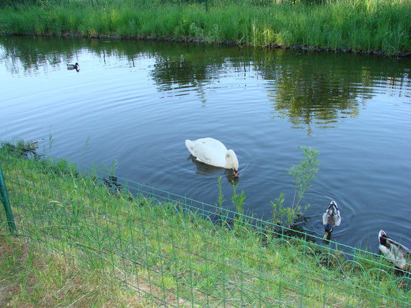 Сергей Шарипов