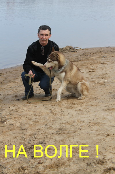 Салех Юсупов