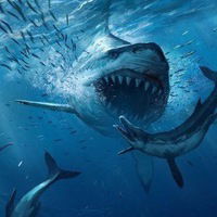 Даня Глагола