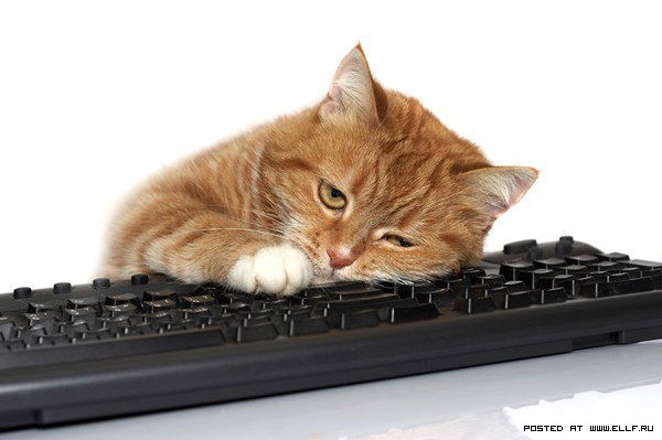 Лиля Малюкова