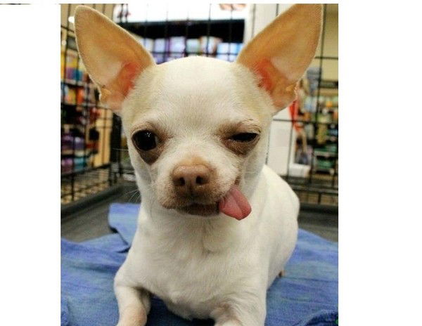 Евгений Базылев