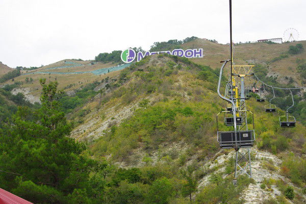 Наталья Елагина