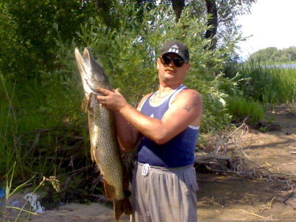 Владимир Юрченко