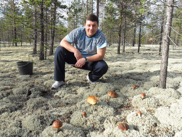 Денис Гарьковенко