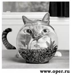 Наталия Паукова