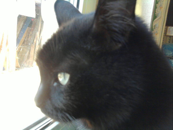 Ирина Пономарь