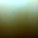 Offieshli D