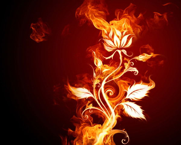 Екатерина Бухарова