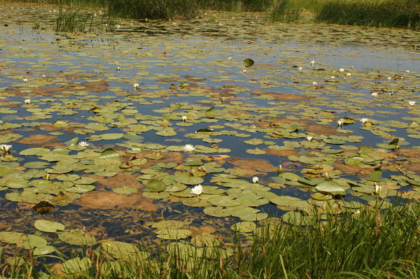 Мария Баганова