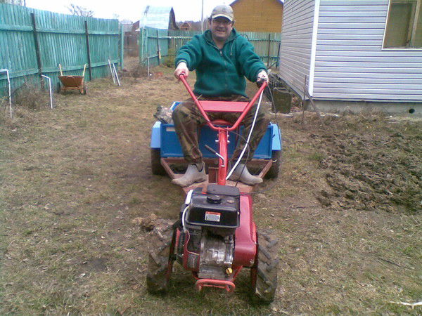 Дмитрий Пырсин