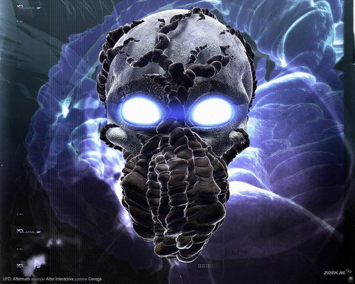 Илья Петров