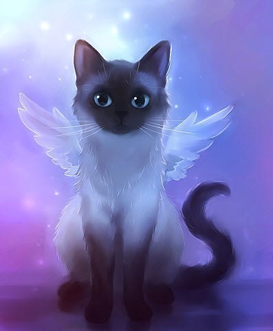 Вероника Колесник