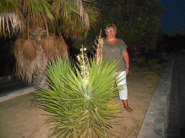 Ирина Набеева