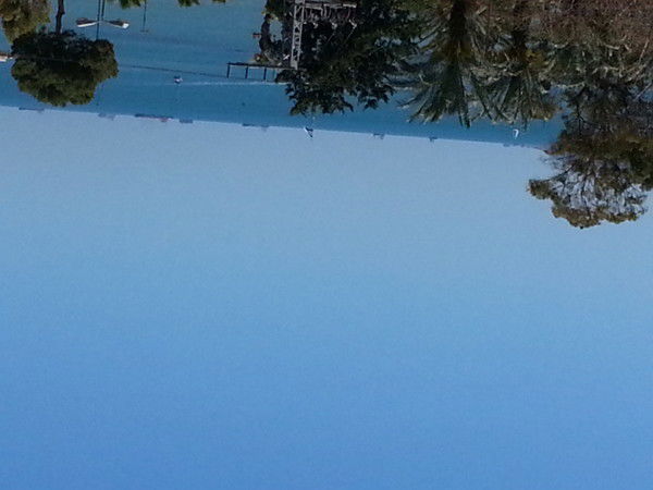 Лилия Щербина