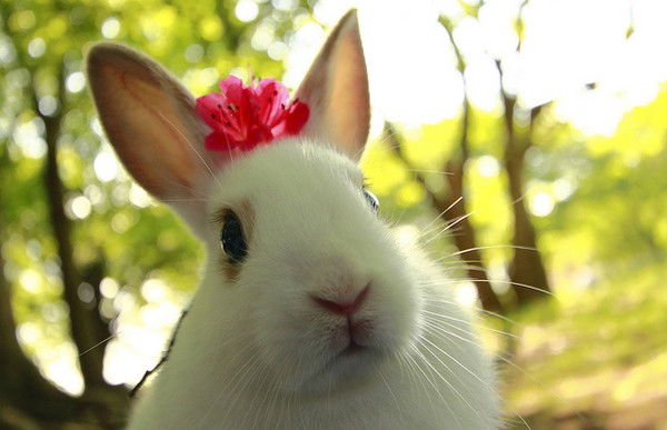 Зарина Сабанчина