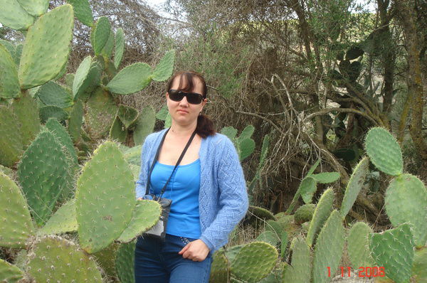 И. Смирнова