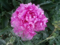 Наталья Юдина