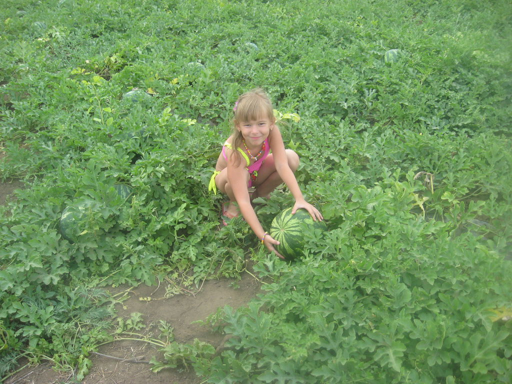 Елена Игольникова