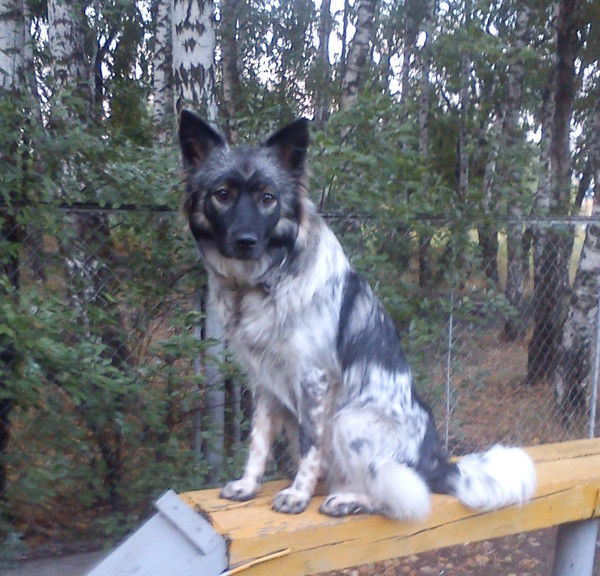 Светлана Кузнецова