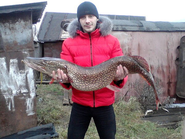 Иван Прописнов