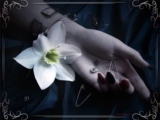 Оля Белкина