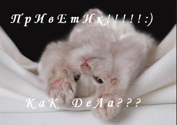 Данил Васильев