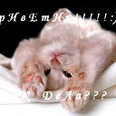 Данил Васильев