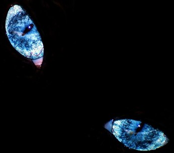 Татьяна Журавлева