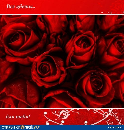 Ольга Щербина