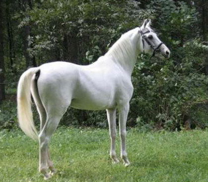 Жанарбек Нурахметов