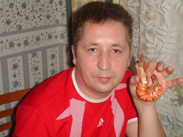 Константин Шевчук