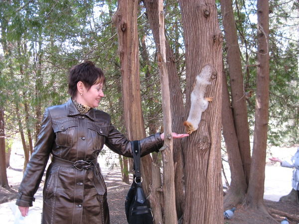 Ирина Самарина