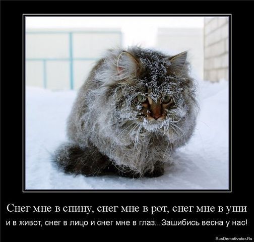 Анастасия Мезенцева