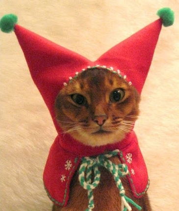 Бамбучча Мурская