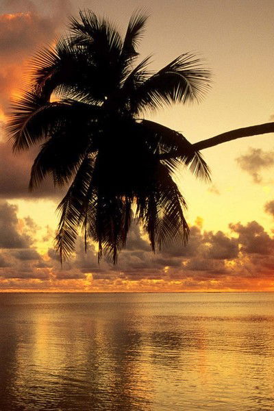 Аня Минакова