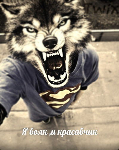 Антон Алмазов