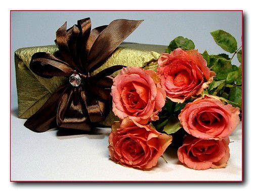 Елена Габбасова