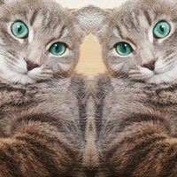 Аля Ибрагимова