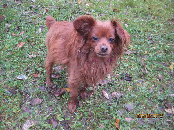 Eвгений Симахин