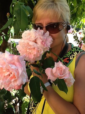 Светлана Малуха