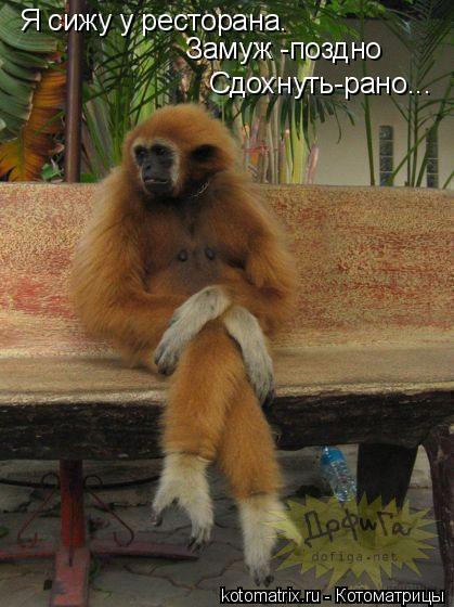 Наталья Бик Шадрина