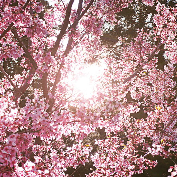 Нышан Ильясов