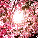 Нышан Ильясов