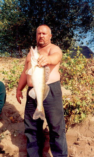 Александр Сидоров