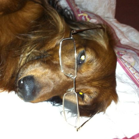 Альфред Гаянов