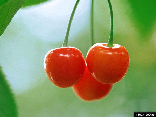 Асем Мусина