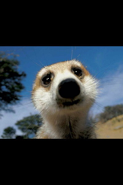 Александр Евмушков